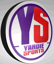 Yardy 3D Logo - edited for pics