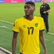 Reggae Boyz, Jamaica, Guadeloupe, Gold Cup, Concacaf, Concacaf Gold Cup, Damion Lowe,